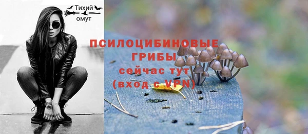 марки lsd Гусь-Хрустальный