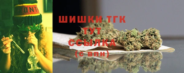 ГАЛЛЮЦИНОГЕННЫЕ ГРИБЫ Гусиноозёрск
