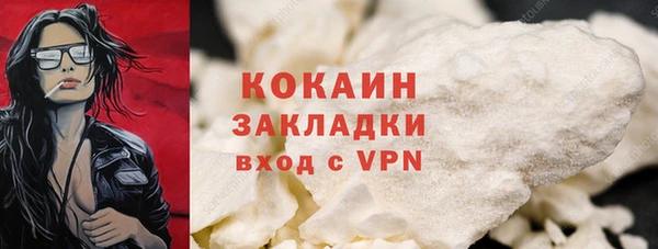 PSILOCYBIN Гусев