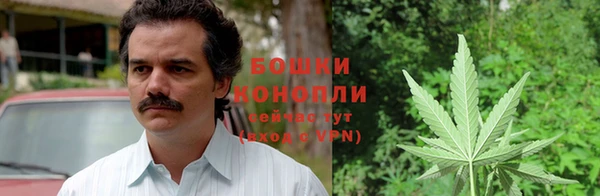 ГАЛЛЮЦИНОГЕННЫЕ ГРИБЫ Гусиноозёрск