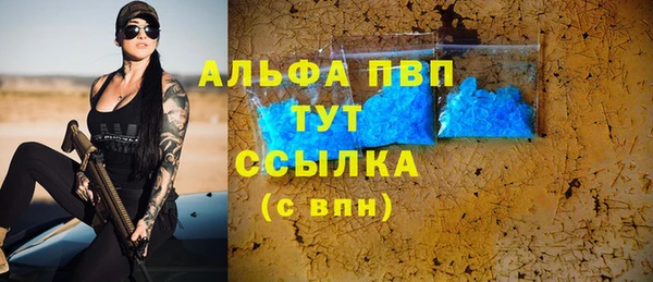 PSILOCYBIN Гусев