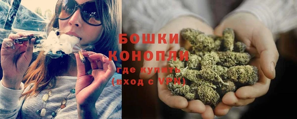 ГАЛЛЮЦИНОГЕННЫЕ ГРИБЫ Гусиноозёрск